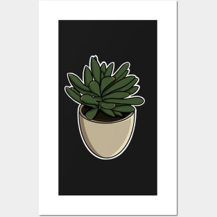 Succulent Posters and Art